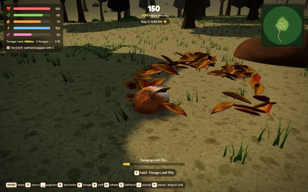 A fluffy brown and white guinea pig foraging in a pile of autumn leaves on a forest floor
